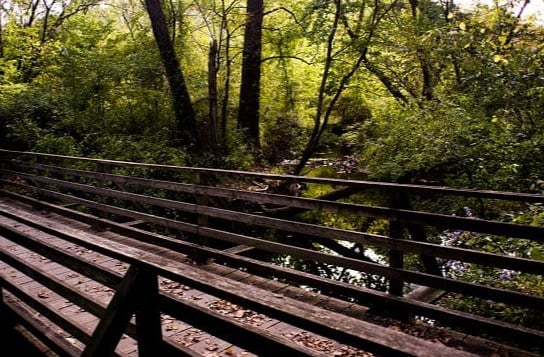 Image of The Patriots’ Path along the Whippany, Black and Raritan Rivers on a Sunday morning in NJ