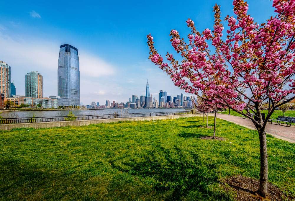 Discovering Serenity & Enjoyment at Liberty State Park, NJ