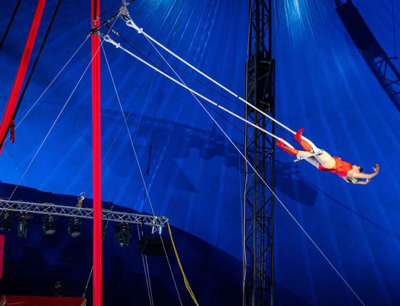 A Do Portugal Circus trapeze act