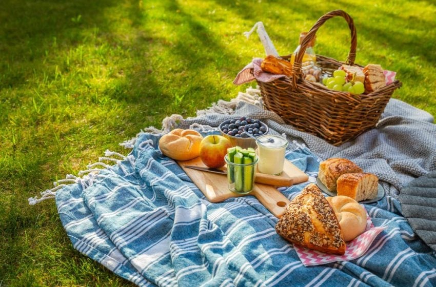 Beautifully laid out picnic blanket with a basket full of grapes and breads and on the blanket blueberries peaches cucumbers and dip